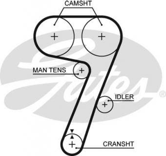 CINGHIA SERVIZI AUSILIARI