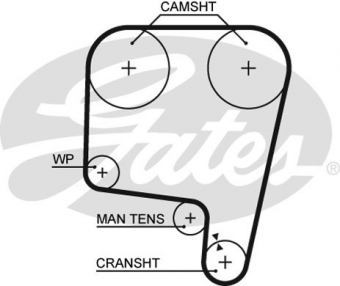 CINGHIA SERVIZI AUSILIARI