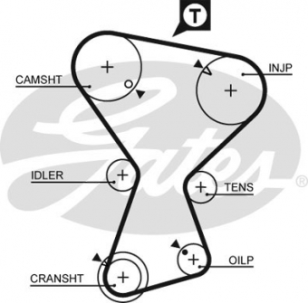 CINGHIA SERVIZI AUSILIARI