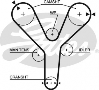 CINGHIA SERVIZI AUSILIARI