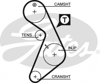 CINGHIA SERVIZI AUSILIARI