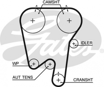 CINGHIA SERVIZI AUSILIARI