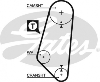 CINGHIA SERVIZI AUSILIARI