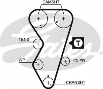 CINGHIA SERVIZI AUSILIARI