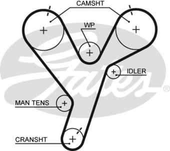CINGHIA SERVIZI AUSILIARI