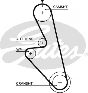 CINGHIA SERVIZI AUSILIARI