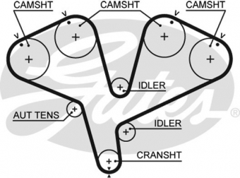 CINGHIA SERVIZI AUSILIARI