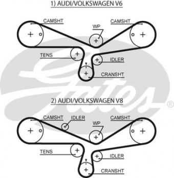 CINGHIA SERVIZI AUSILIARI