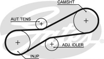 CINGHIA SERVIZI AUSILIARI