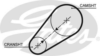 CINGHIA SERVIZI AUSILIARI