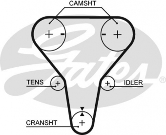 CINGHIA SERVIZI AUSILIARI
