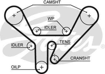 CINGHIA SERVIZI AUSILIARI