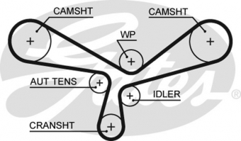 CINGHIA SERVIZI AUSILIARI