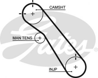 CINGHIA SERVIZI AUSILIARI