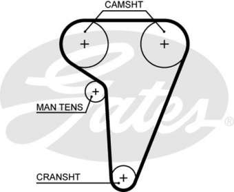 CINGHIA SERVIZI AUSILIARI