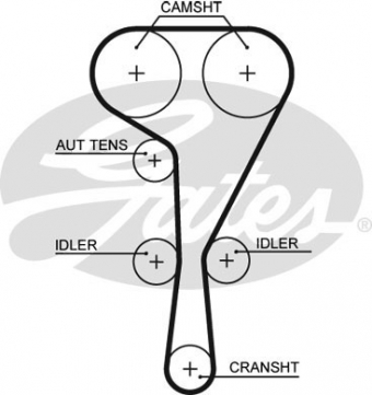 CINGHIA SERVIZI AUSILIARI