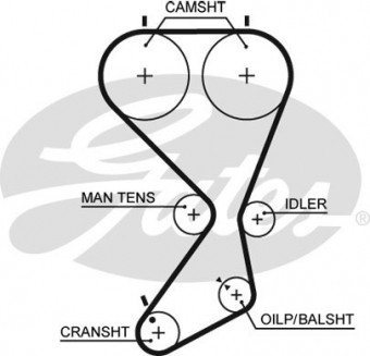 CINGHIA SERVIZI AUSILIARI