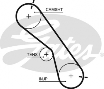 CINGHIA SERVIZI AUSILIARI