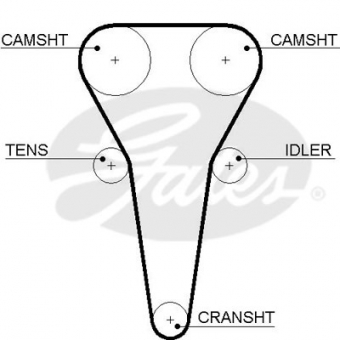CINGHIA SERVIZI AUSILIARI