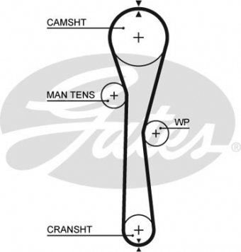 CINGHIA SERVIZI AUSILIARI