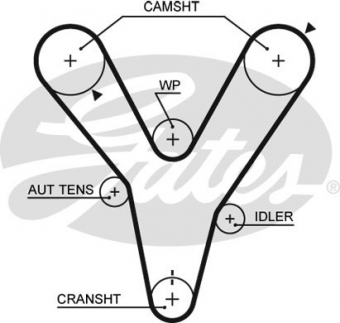 CINGHIA SERVIZI AUSILIARI