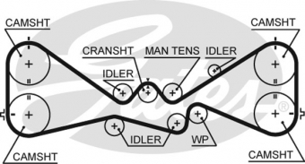 CINGHIA SERVIZI AUSILIARI