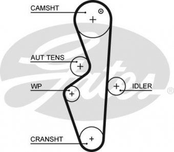 CINGHIA SERVIZI AUSILIARI