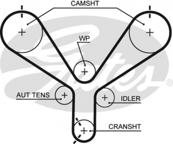 CINGHIA SERVIZI AUSILIARI