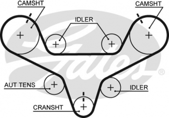 CINGHIA SERVIZI AUSILIARI