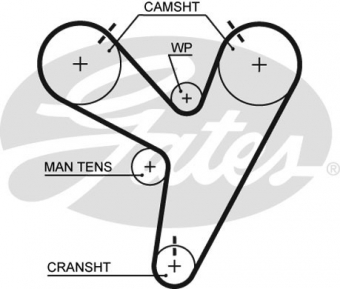 CINGHIA SERVIZI AUSILIARI