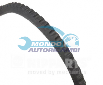 CINGHIA SERVIZI AUSILIARI