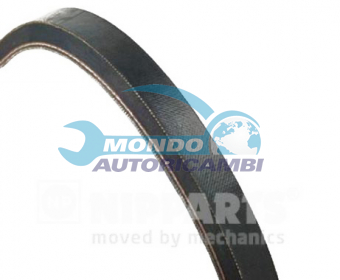 CINGHIA SERVIZI AUSILIARI