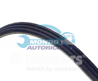 CINGHIA SERVIZI AUSILIARI