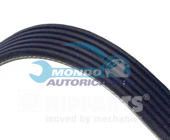 CINGHIA SERVIZI AUSILIARI