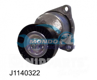 TENDICINGHIA CINGHIA SERVIZI