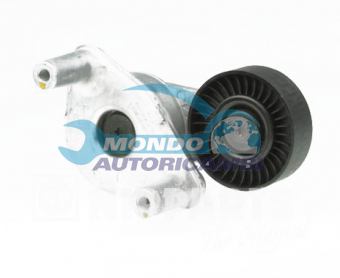 TENDICINGHIA CINGHIA SERVIZI