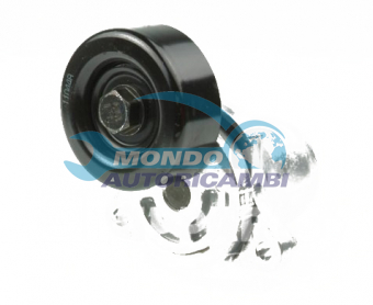 TENDICINGHIA CINGHIA SERVIZI