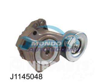 TENDICINGHIA CINGHIA SERVIZI