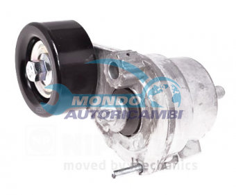 TENDICINGHIA CINGHIA SERVIZI