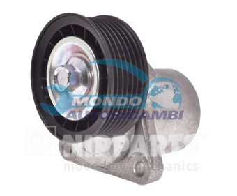 TENDICINGHIA CINGHIA SERVIZI