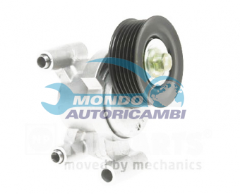 TENDICINGHIA CINGHIA SERVIZI