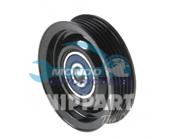 TENDICINGHIA CINGHIA SERVIZI