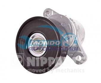 TENDICINGHIA CINGHIA SERVIZI