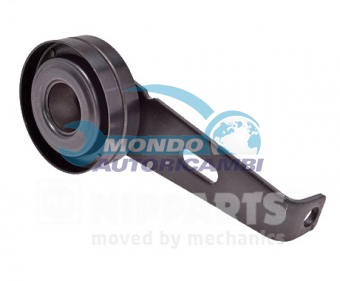 TENDICINGHIA CINGHIA SERVIZI