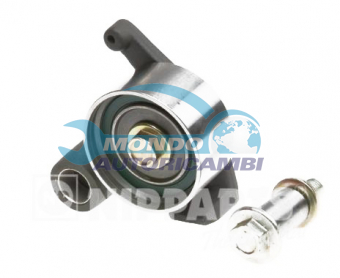 TENDICINGHIA DISTRIBUZIONE