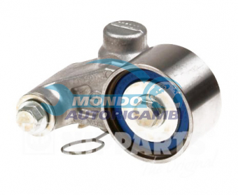 TENDICINGHIA DISTRIBUZIONE