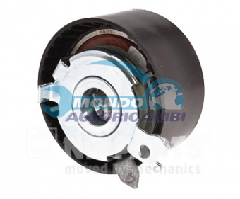 TENDICINGHIA DISTRIBUZIONE