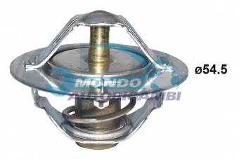 TERMOSTATO, TERMOINTERRUTTORE