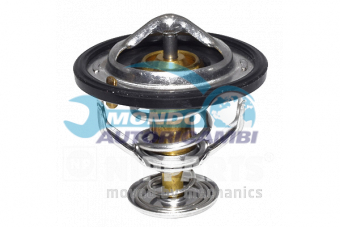 TERMOSTATO, TERMOINTERRUTTORE