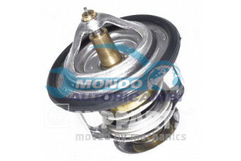 TERMOSTATO, TERMOINTERRUTTORE